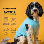 Fitwarm You are My Sunshine Dog Shirt, Tropical Summer Clothes for Small Dogs Boy Girl, Funny Pet Outfit, Blue, Yellow, Large
