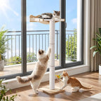 Cat Window Perch with Tall Scratching Post, 44" Adjustable Sisal Cat Tree, 33lbs Capacity Suction Cup Hammock for Indoor Cats Scratching & Watching Birds, Beige, with Detachable Cushion