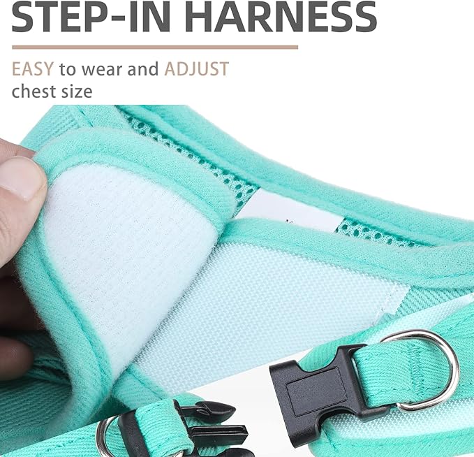 PUPTECK Dog Harness and Leash Set for Small Medium Dogs No Pull Step-in Soft Mesh Puppy Cat Vest Harnesses Reflective at Night, Denim Green L