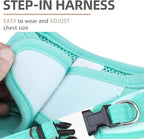 PUPTECK Dog Harness and Leash Set for Small Medium Dogs No Pull Step-in Soft Mesh Puppy Cat Vest Harnesses Reflective at Night, Denim Green L
