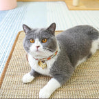 Generic Cat Scratcher Mat & Pad - Natural Sisal Cat Scratch Blanket with Tapes, Corner Scratching Pad, Furniture Couch Carpets Protector (M, 23.6 x 15.7 Inch / 1 Pack)