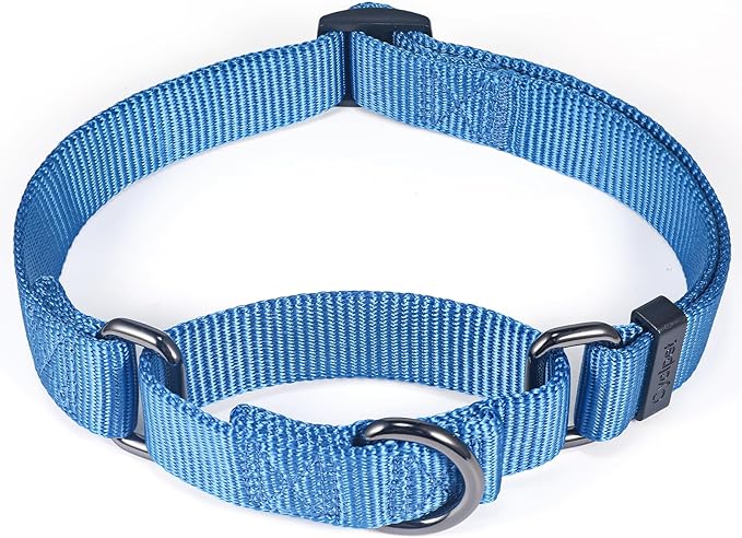 Premium Nylon Adjustable Anti-Escape Martingale Dog Collars,Comfort and Silky Training,Walking Dog Collar with Heavy Duty D-Ring for Medium Active Dogs. (Classic Blue, Medium)