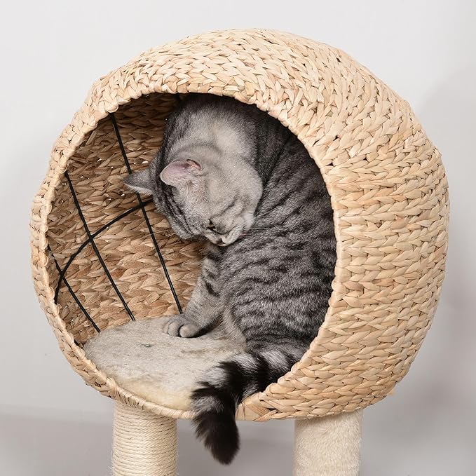 39H Premium Quality Cat Tree with Durable Sisal Scratching, Multi-Level Condo Hideout, Hanging Rope Accessory, Beige Finish