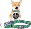 Lucky Love Dog Martingale Collar, Premium No Slip Martingale Collar for Small Boy Dogs, Great for Whippets, Greyhounds, and More (Small, Blue Laguna)