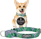 Lucky Love Dog Martingale Collar, Premium No Slip Martingale Collar for Small Boy Dogs, Great for Whippets, Greyhounds, and More (Small, Blue Laguna)