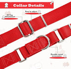 Martingale Collar for Dogs with Quick Release Buckle, Heavy-Duty Solid Color Nylon Training Collars - Adjustable No-Slip Design for Medium & Large Dog
