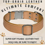 ADITYNA Leather Dog Collar with Metal Buckle - Heavy-Duty, Adjustable for Medium & Large Dogs - Walking, Training, Hiking (CamelBrown, Fits 15-21" Necks)