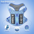 No-Pull Dog Harness for XS Dogs, Anti-Escape Easy Walking Reflective Adjustable Lightweight Dog Vest with Breathable Oxford Material, Easy On/Off with Neck Buckle, Blue XS