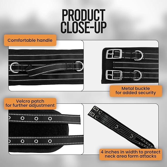 Protective Tactical Dog 4" Wide Collar for Medium Dogs – Heavy-Duty Adjustable Nylon Collar with Control Handle, Quick-Release Metal Buckle & D-Ring for Training, Play & Outdoor Safety