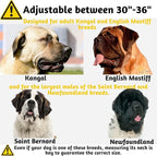 ADITYNA Big Leather Dog Collar - XXL Dog Collar for Giant Breeds Such as Mastiff (Giant: Fit 30" - 36" Neck, Brown)