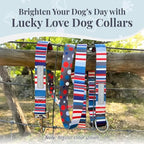 Lucky Love Dog - Adjustable Dog Collar with Easy Click Buckle for Medium, Durable, & Comfortable for Male & Female Dogs, Pet Collar for Puppies & Adult Dogs - Linus, Medium