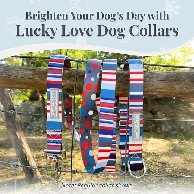 Lucky Love Dog - Adjustable Dog Collar with Easy Click Buckle for Medium, Durable, & Comfortable for Male & Female Dogs, Pet Collar for Puppies & Adult Dogs - Linus, Medium