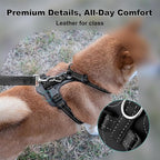 Plutus Pet Adjustable No Pull Dog Harness with Leather Accents, Heavy Duty Reflective Nylon Vest for Training, Hiking, Easy Walk Harness for Small, Medium, Large Dogs (Black, M)