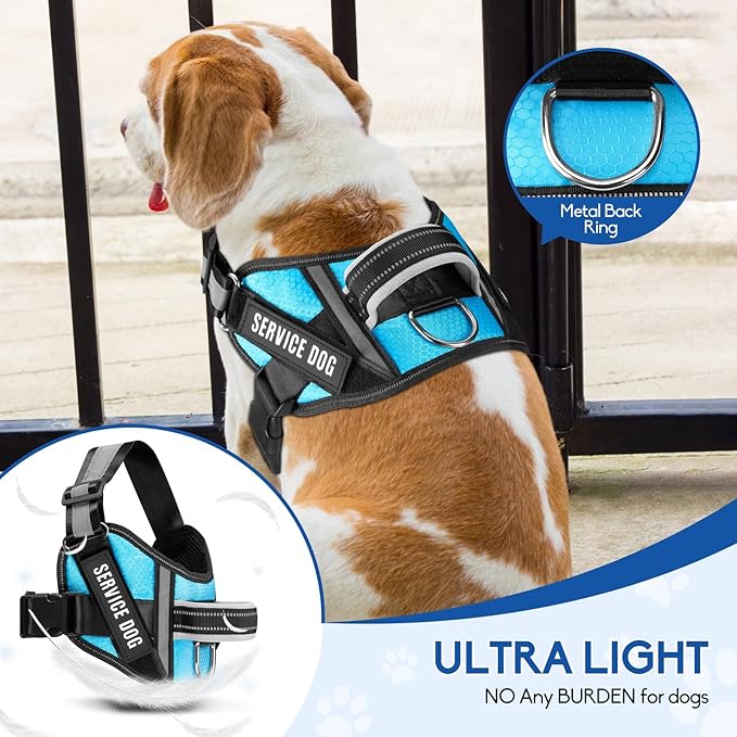 Service Dog Harness (Medium, Light Blue) with Reflective Strips, Leash, and 10 Patches, for Dog Training and Walking