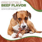 SPOT Bam-Bones Plus Branch -Bamboo Fiber & Nylon, Durable Long Lasting Dog Chew for Aggressive Chewers – Great Toy for Adult Dogs & Teething Puppies Under 90lbs, Non-Splintering, 9.5in, Beef Flavor