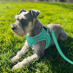 Joytale Small Dog Harness, Breathable Mesh Step-in Vest, Reflective Soft Padded Harnesses for Cats and Puppies Dogs, Teal, XXXS