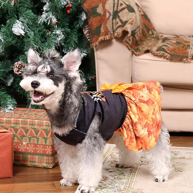 CuteBone Thanksgiving Dog Fall Dresses Costume Velvet Holiday Small Dogs Clothes Onesie Pet Apparel Girl Puppy Skirt with Bow Hair Rope CVA52XS-D
