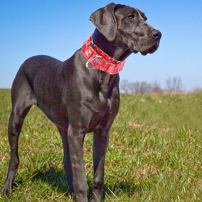 Martingale Collar for Dogs 1.5 inch Wide,Red Floral No Pull Heavy Duty Dog Collar for Medium Large Extra Large Dogs M