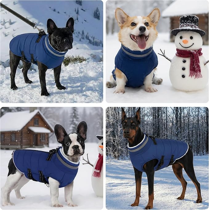 Mklhgty Dog Coat with Harness Built-in, Waterproof Reflective Fleece Lined - Warm Windproof Winter Jacket with Back Zipper, Cold Weather Snow Dog Coats - Blue - L