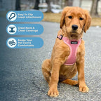 Best Pet Supplies Voyager Adjustable Step-in Flex Breathable Mesh Dog Harness for Small Medium Large Dogs Leash Set (Pink), M