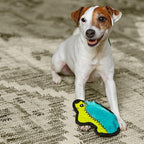 Outward Hound Durablez Minis – Squeaky Plush Dog Toy, No Stuffing for Less Mess, Interactive & Tough, Jumbo Squeaker, Puppies & Small Dogs, Hedgehog, 7"