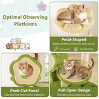 PETSITE Forest-Themed Multi-Level Cute Cat Tree, 40 Inches Tall with Sisal Scratching Posts, Condo, Dangling Ball, and Spring Toy, Ideal for Indoor Small & Medium Cats (21.5 x 16 x 40 inches)