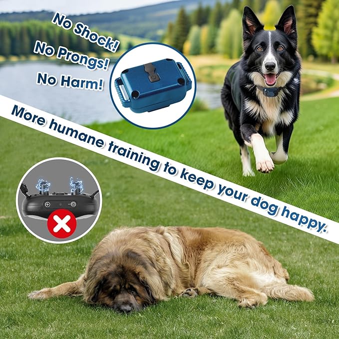 No Shock Dog Training Collar 2 Dogs, Vibrating 2 Dog Collars, Vibration Collar for 5-15 lbs Small Medium Large Dogs - No Shock No Prongs,Blue and Green