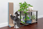 Furhaven 2-Pack Scratching Boards w/ Catnip & Wall-Mounting Hooks for Indoor Cats, Reversible - Wall-Mounted Corrugated Cat Scratchers - Seaglass, Standard/2-Pack