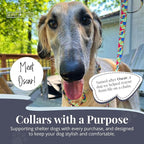 Lucky Love Dog Martingale Dog Collar - Adjustable, No-Slip, Durable, & Soft Webbing Collar for Male and Female Dogs Ideal for Training & Walking - Oscar, Small