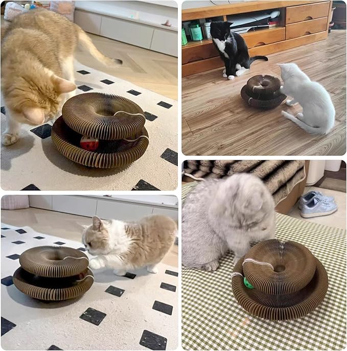 Magic Twist Cat Toy, Collapsible & Double-Sided Infinity Design Kitten Scratching Pad, Eco-Friendly Cardboard, Long-Lasting Interactive Play Toy for Indoor Kittens, 2 Pack, Upgrade