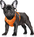 BARKBAY No Pull Dog Harness Large Reflective Dog Harness with Front Clip and Easy Control Handle for Walking Training Running with ID tag Pocket(Orange,S)