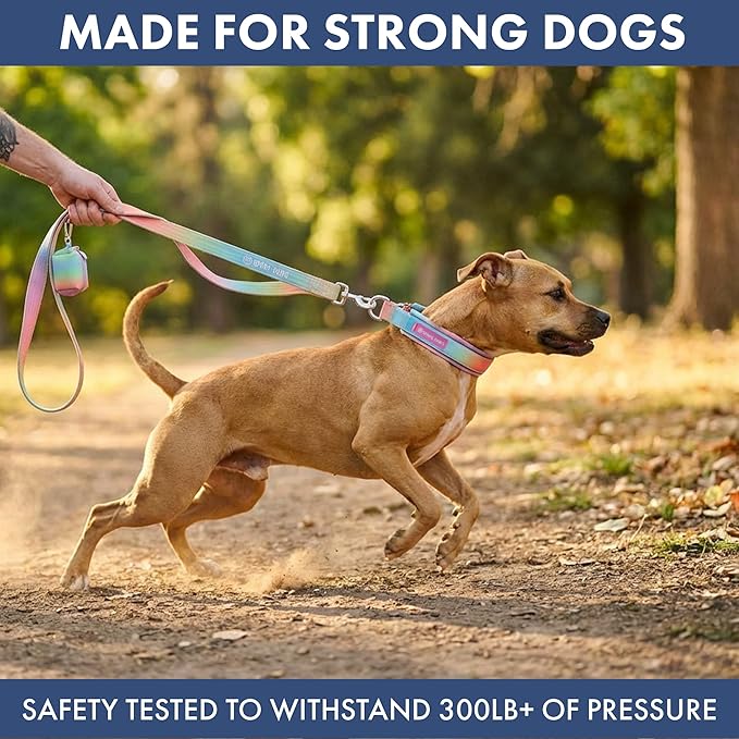 Spark Paws Martingale Dog Collar – Cushioned Slip-On Training Collar, Heavy Duty, Safety-Tested No-Buckle Collar for Medium & Large Dogs - Pastel Icing - B