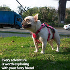 Huntboo Escape Proof Dog Harness, Escape Artist Harness, Reflective Dog Harness with Handle, Durable,Adjustable Vest for Small Medium Large Dogs Walking, Training, and Running Gear(Rose Red, S)