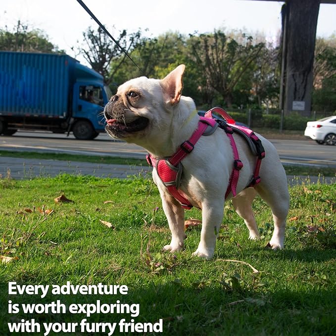 Huntboo Escape Proof Dog Harness, Escape Artist Harness, Reflective Dog Harness with Handle, Durable,Adjustable Vest for Small Medium Large Dogs Walking, Training, and Running Gear(Rose Red, M)