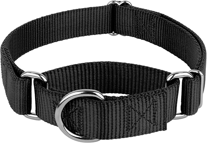 Country Brook Petz - Martingale Dog Collar - Heavy-Duty Training Collar with No Buckle - Service Dog Collar for All Pups - 10+ Cool Colors (Black, 1 Inch, Large)