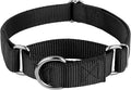 Country Brook Petz - Martingale Dog Collar - Heavy-Duty Training Collar with No Buckle - Service Dog Collar for All Pups - 10+ Cool Colors (Black, 1 Inch, Extra Large)