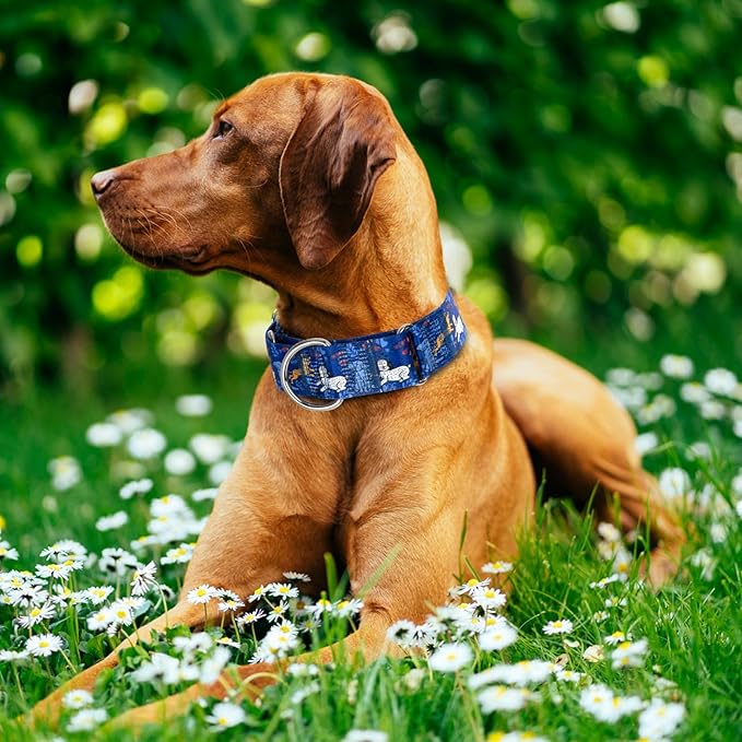 Heavy Duty 1.5 Inch Thick Dog Collar - Escape Proof No Pull Martingale Collar for Large Dogs, Wide Adjustable Slip Training Collar (Bule Dog L)