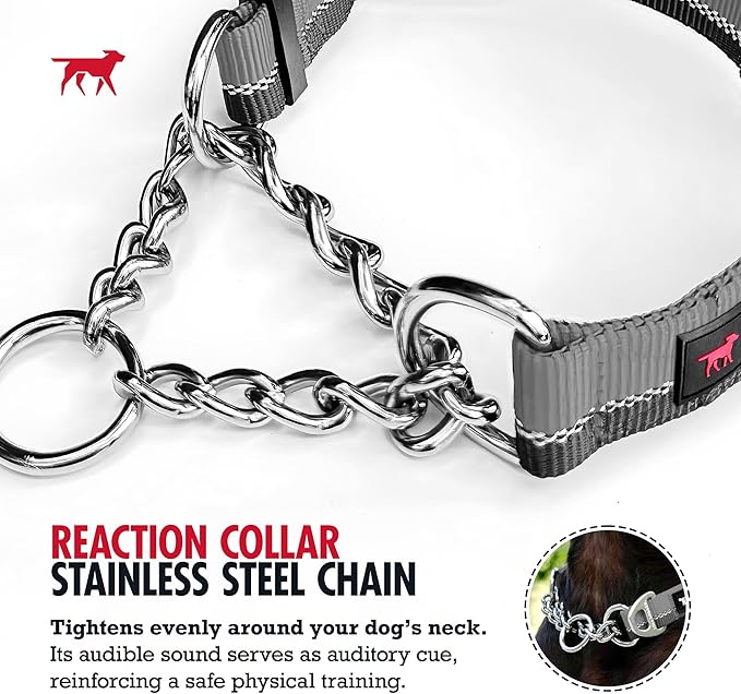 Tuff Pupper Martingale Collar for Dogs | Gentle Nylon & Steel Chain Limited Cinch Design is Perfect for Training | Dual Leash Attachment Points | Durable Quick Release Buckle | Sizing for All Breeds