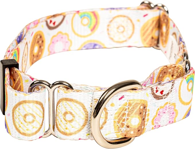 Downtown Pet Supply - Martingale Collar for Dogs - Dog Training Collar - Big, Wide & Thick Dog Collar - Escape-Proof, Weatherproof, Durable and Comfortable - Donut - Small Dog Collar