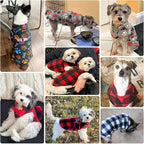 BEAUTYZOO Small Dog Sweater Fleece Vest Winter Jacket, D-Ring Leash Attachment for XS S Puppy Medium Sized Breeds Dogs, Cold Weather Dog Clothes Windproof Keep Warm, Grey Bones Paw L