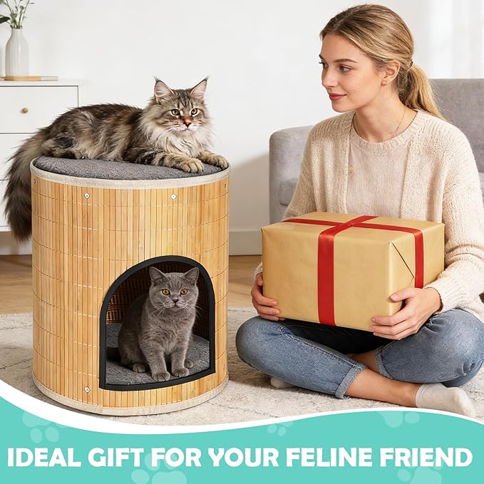 Cat Beds Indoor House, Handwoven Bamboo Cat Cave Pet Cube, Large Cat Houses, 2 Bed Mat, Foldable,Hideaway, 15.9x13.9 Inches, Living Room Bedroom Terrace Home Decoration Natural