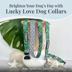 Lucky Love Dog Martingale Collar, Premium No Slip Martingale Collar for Medium Boy Dogs, Great for Whippets, Greyhounds, and More (Medium, Blue Laguna)