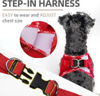 PUPTECK Dog Harness and Leash Set for Small Medium Dogs No Pull Step-in Soft Mesh Puppy Cat Vest Harnesses Reflective at Night, Red, S