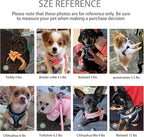 Dog Harness for Small Dogs and Leash Set, Honeycomb Grid, Reflective Lightweight Harness & Anti-Twist Pet Lead (Multi Color, Size: XS-S-M) (XS, Grey)