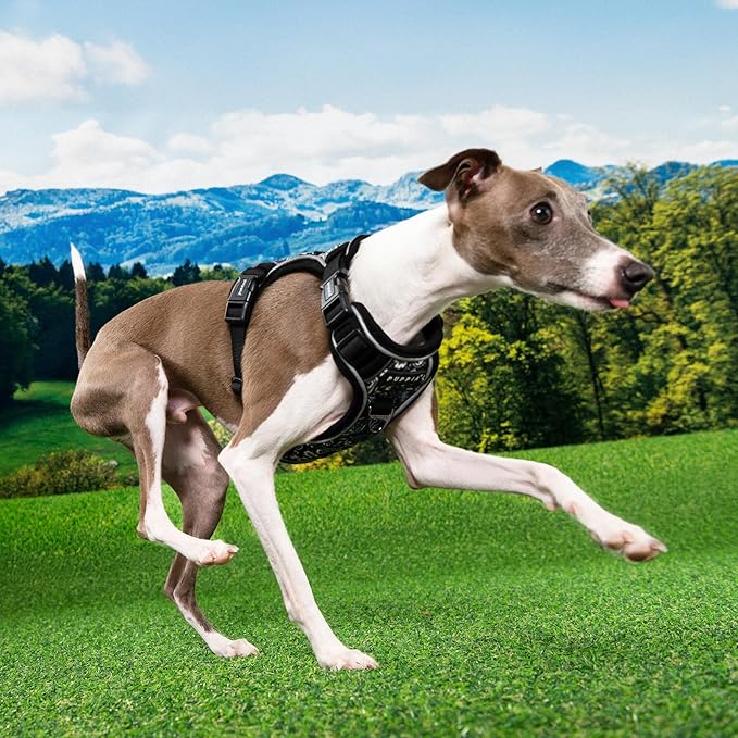 Puppia Cynthia Dog Harness H Sturdy Adjustable Neck and Chest Reflective Flower Pattern Front and Back D-Ring for Small and Medium Dogs, Black, XX-Large