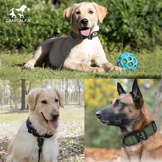 Camo Tactical Dog Collar for Medium & Large Dogs – Heavy Duty Adjustable Nylon Collar with Control Handle, Quick-Release Metal Buckle & D-Ring – Comfortable, Durable Training Collar for All Dog Breeds