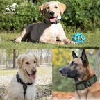 Camo Tactical Dog Collar for Medium & Large Dogs – Heavy Duty Adjustable Nylon Collar with Control Handle, Quick-Release Metal Buckle & D-Ring – Comfortable, Durable Training Collar for All Dog Breeds