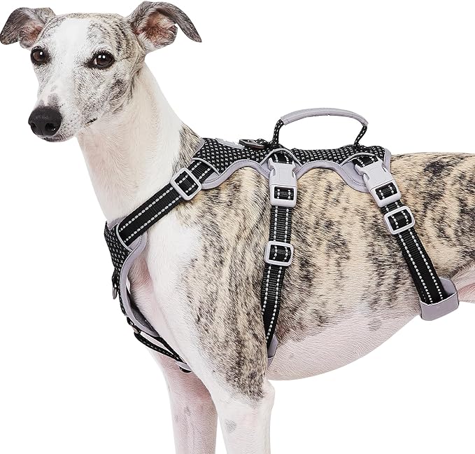 Huntboo Escape Proof Dog Harness, No Pull Reflective Harness with Lift Handle, Adjustable Pet Vest with Front and Back Leash Clips for Small Medium Large Dogs Walking Hiking Training (Black,XL)