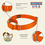 Country Brook Petz - Martingale Dog Collar - Heavy-Duty Training Collar with No Buckle - Service Dog Collar for All Pups - 10+ Warm Colors (Orange, 3/4 Inch, Small)
