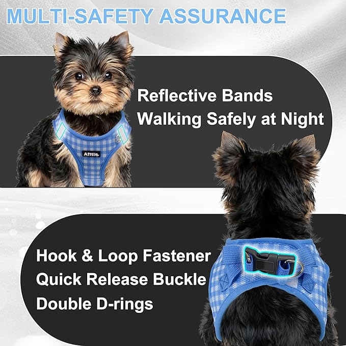 AIITLE Adjustable Dog Harness and Leash Set, Step in No Pull Pet Harness, Soft Mesh Reflective Plaid Vest Harnesses for Small Dogs Puppy and House Cats Outdoor Walking Running Blue XS